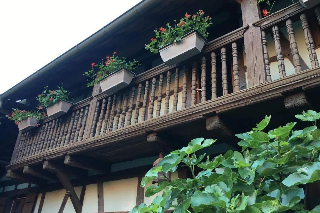 Gite Alsacien Eckwersheim 外观 照片